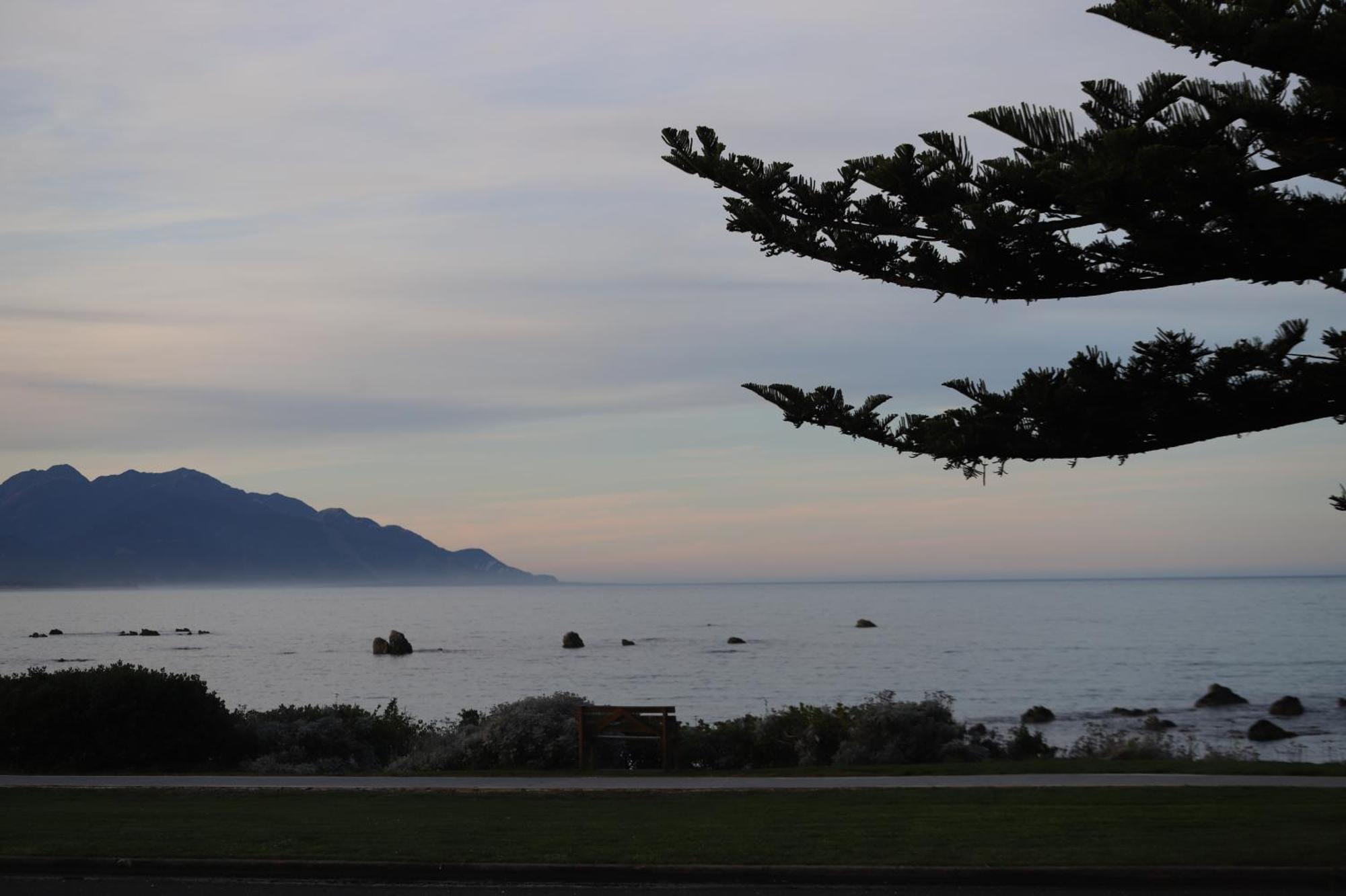 Sierra Beachfront Motel Kaikoura Eksteriør billede